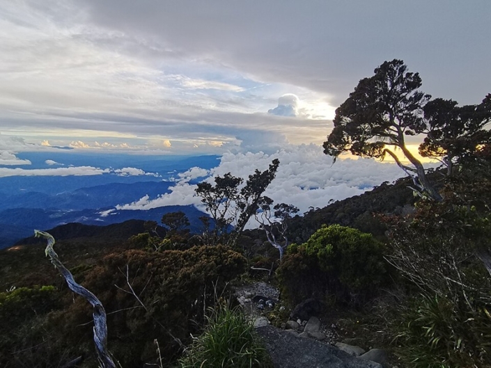 Cosa vedere a Kota Kinabalu