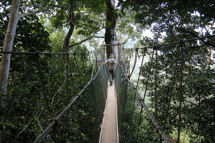 Parco Nazionale di Taman Negara